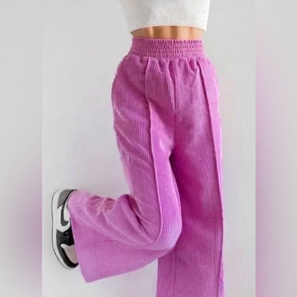 Urban Outfitters Lavender Corduroy Pants M.A650